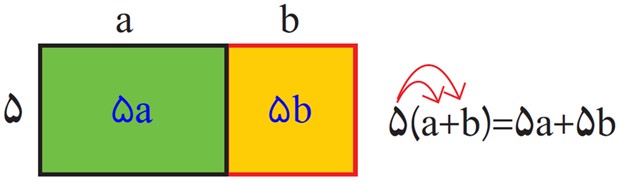 سوال 1 کار در کلاس صفحه 53 فصل چهارم ریاضی پایه هشتم
