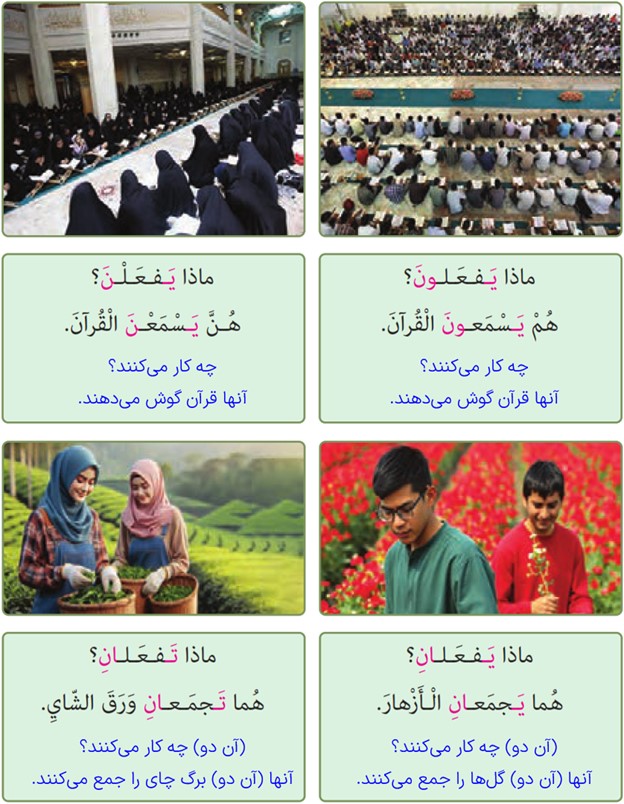 کاربرد فعل مضارع برای جمع و مثنی - عربی هشتم درس ۹