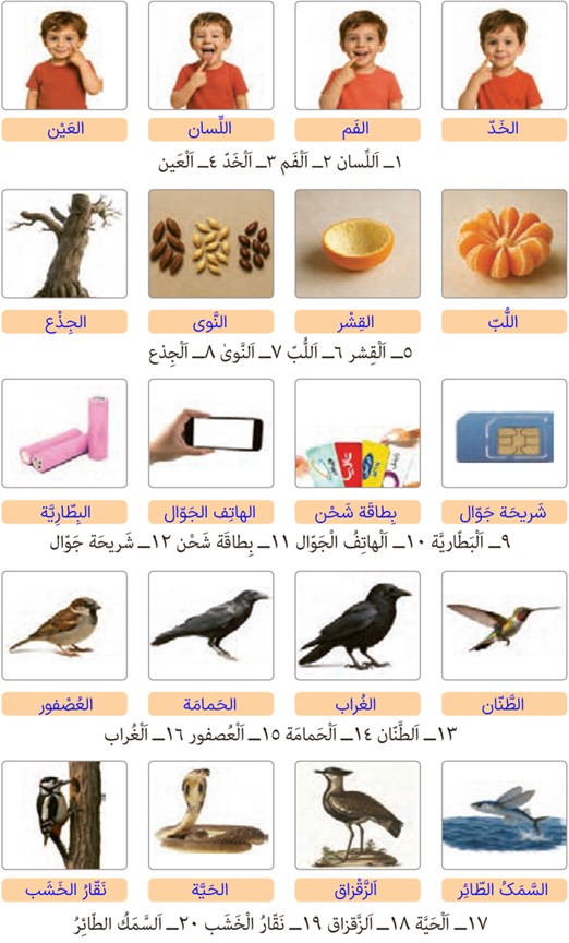 تمرین برای منزل صفحه 74 درس پنجم عربی پایه دهم رشته انسانی