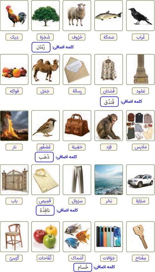 تمرین برای خانه صفحه 151 درس نوزدهم عربی پایه هفتم