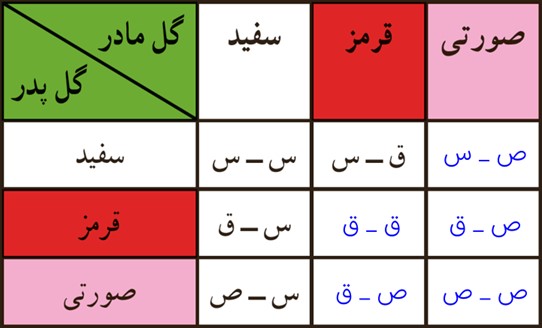 کار در کلاس صفحه 132 فصل هشتم ریاضی پایه هشتم