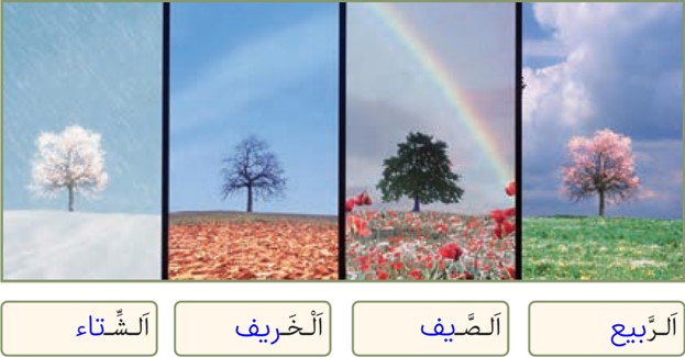 تمرین هشتم صفحه 18 درس اول عربی پایه هشتم