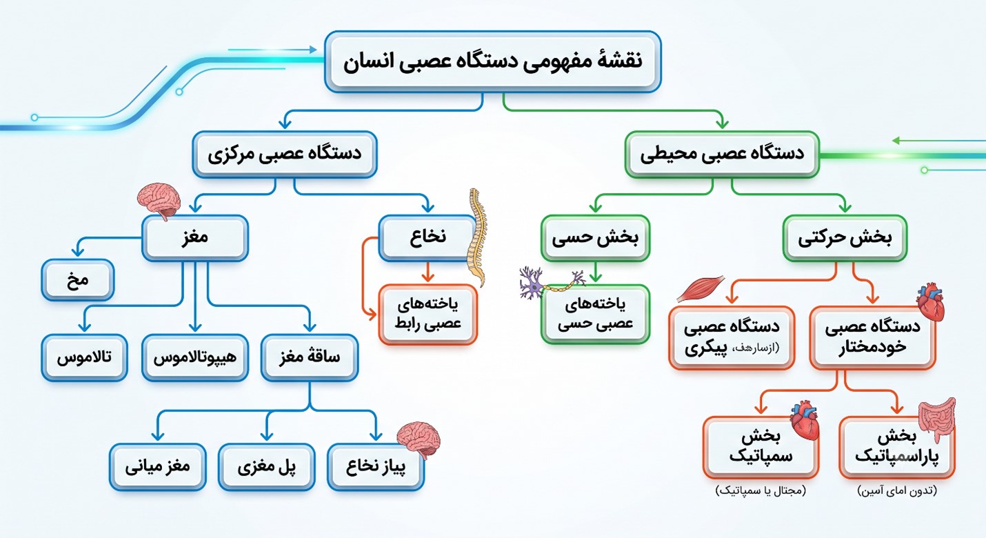 فعالیت 9 صفحه 19 فصل اول زیست شناسی یازدهم
