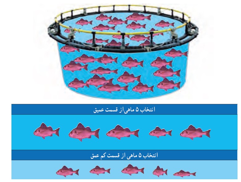 فعالیت صفحه 72 ریاضی دهم انسانی