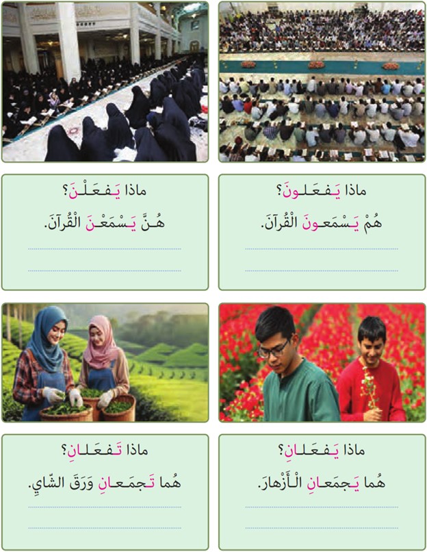 کاربرد فعل مضارع برای جمع و مثنی - عربی هشتم درس ۹