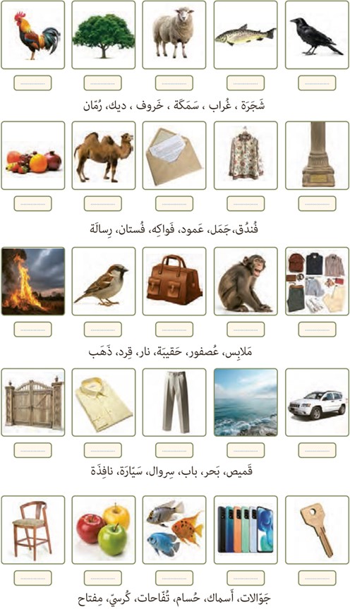 تمرین برای خانه صفحه 151 درس نوزدهم عربی پایه هفتم