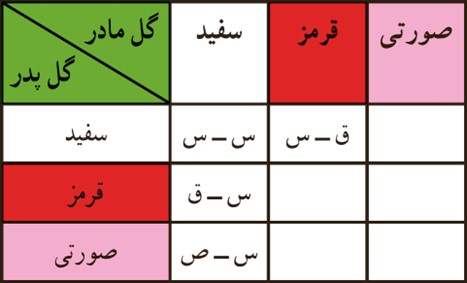 کار در کلاس صفحه 132 فصل هشتم ریاضی پایه هشتم