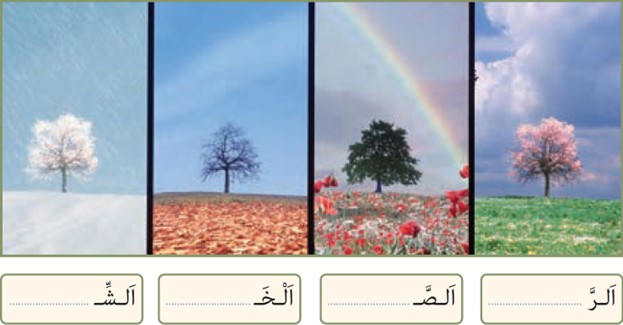 تمرین هشتم صفحه 18 درس اول عربی پایه هشتم