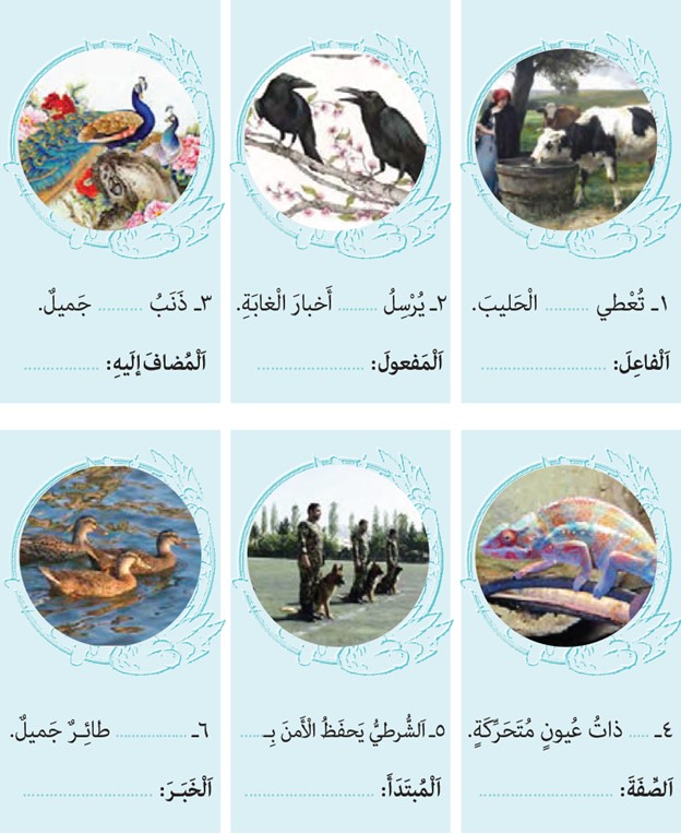 تمرین سوم صفحه 77 درس پنجم عربی پایه دهم انسانی
