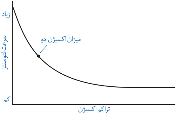 فعالیت 4 صفحه 85 فصل ششم زیست شناسی دوازدهم تجربی