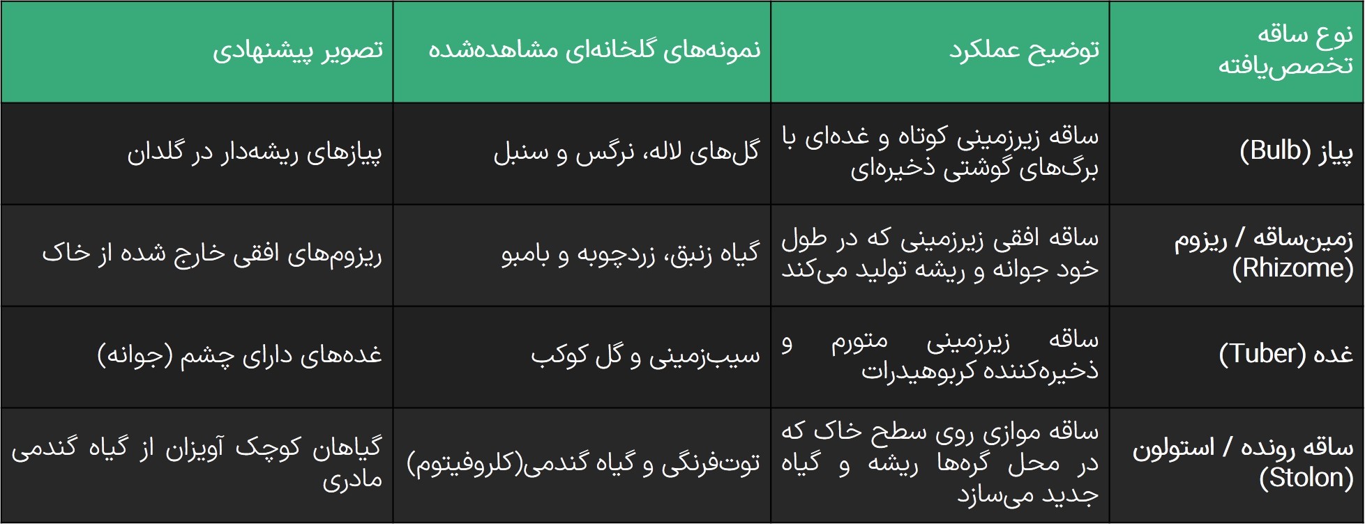 فعالیت 1 صفحه 121 فصل هشتم زیست شناسی یازدهم