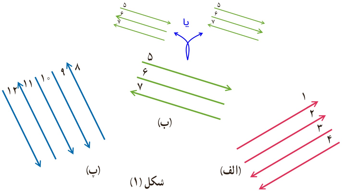 جواب سوال 2 فعالیت صفحه 98 ریاضی هفتم