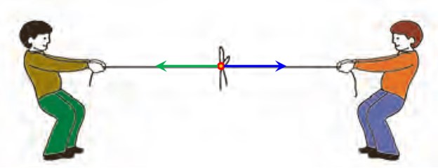 جواب سوال 2 فعالیت صفحه 99 ریاضی هفتم