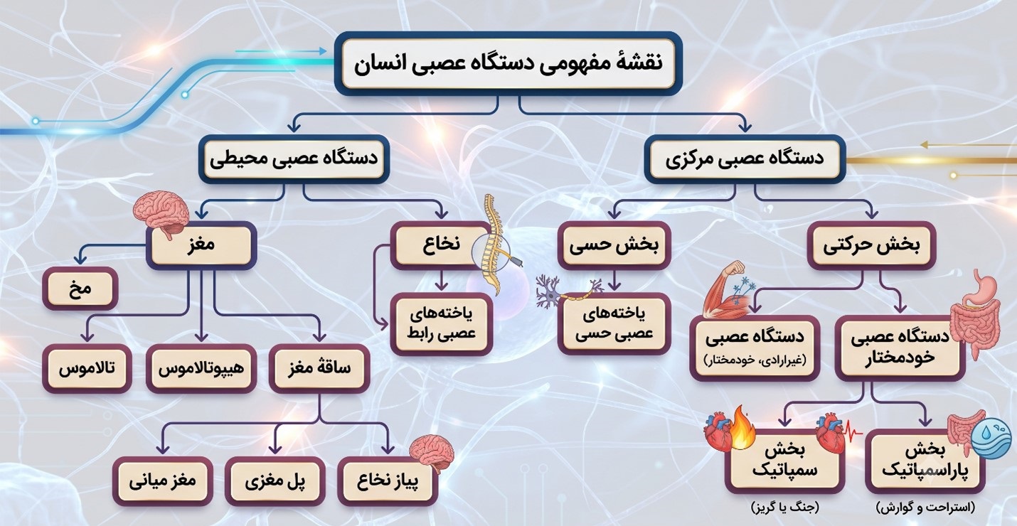فعالیت 9 صفحه 19 فصل اول زیست شناسی یازدهم