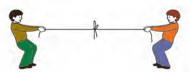 سوال 2 فعالیت صفحه 99 ریاضی هفتم