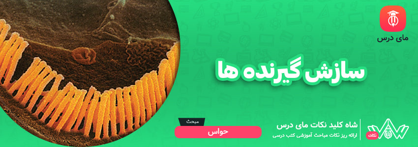 سازش گیرنده‌ها