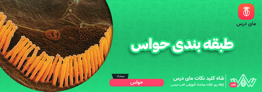 طبقه‌بندی حواس
