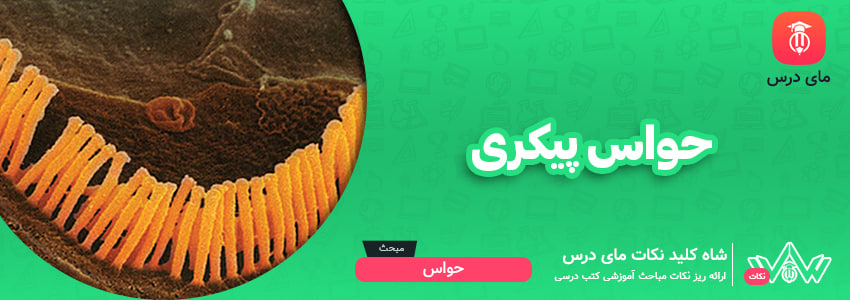 حواس پیکری
