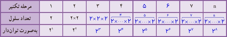 جواب سوال 5 کار در کلاس صفحه 85 ریاضی هفتم