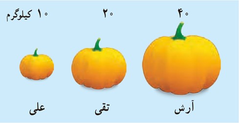 کار در کلاس صفحه 101 فصل چهارم ریاضی دهم انسانی