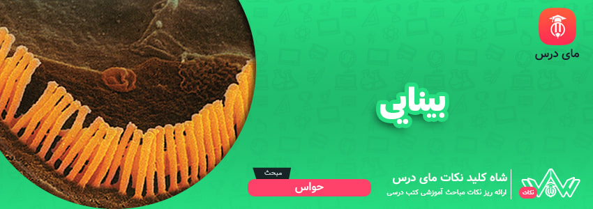 بینایی