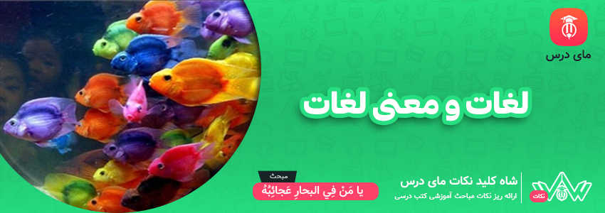 لغات و معنی لغات