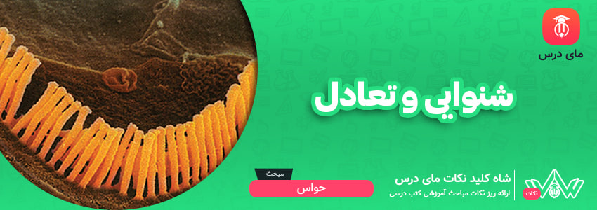 شنوایی و تعادل