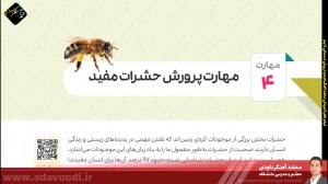تدریس فصل سوم کتاب کار و فناوری ششم ابتدایی توسط محمد آهنگرداودی (قسمت 14)