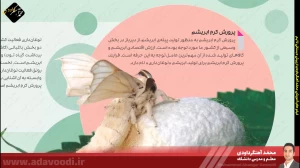 تدریس فصل سوم کتاب کار و فناوری ششم ابتدایی توسط محمد آهنگرداودی (قسمت 15)