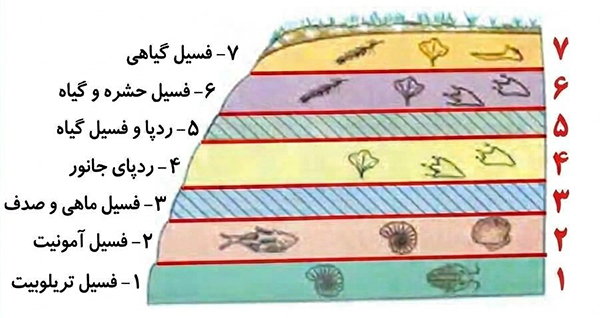 گفت و گو صفحه 32 علوم پنجم