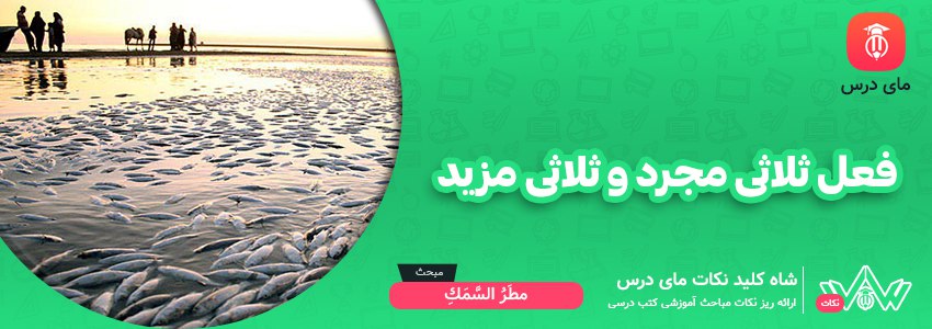 فعل ثلاثی مجرد و ثلاثی مزید