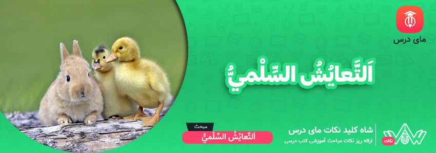 معنی متن درس چهارم