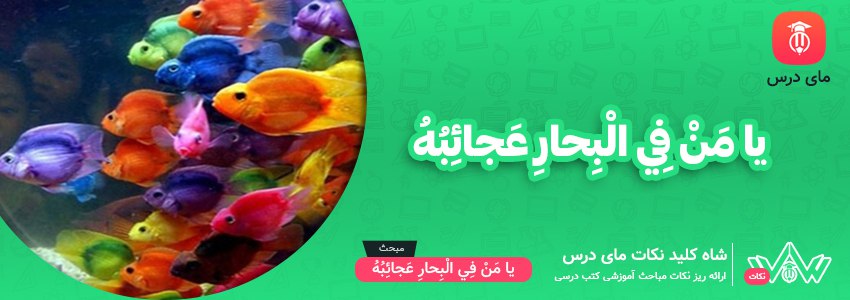 معنی متن درس هشتم