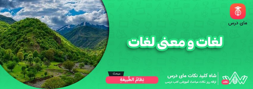 لغات و معنی لغات