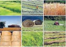 فعالیت ص 159 ریاضی دهم