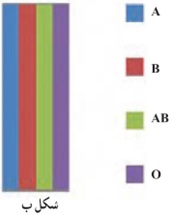 فعالیت ص 166 ریاضی دهم